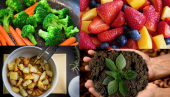 Organic - Life Energised
