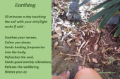 EARTHING FOR HEALTH